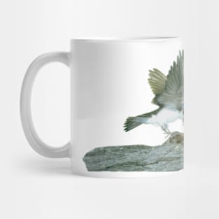 Bird On A Log Mug